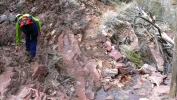PICTURES/Barnhardt Trail/t_Rock Scramble11.JPG